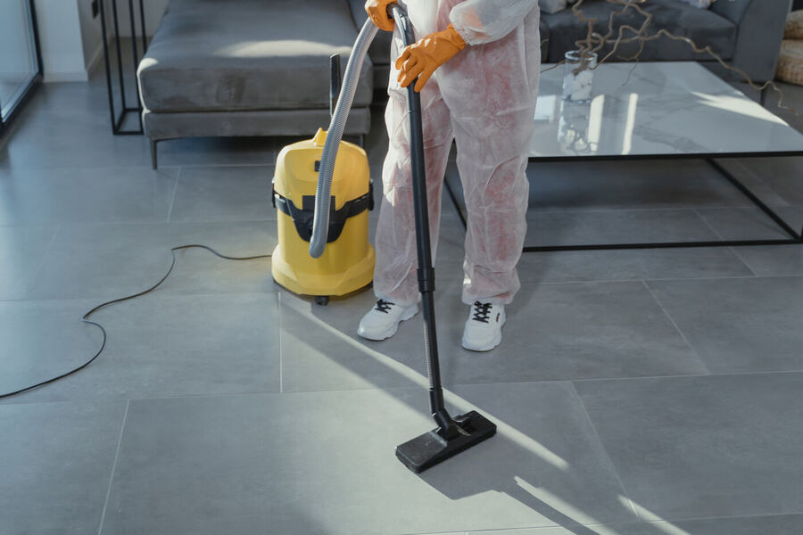 Professional Cleaning detail