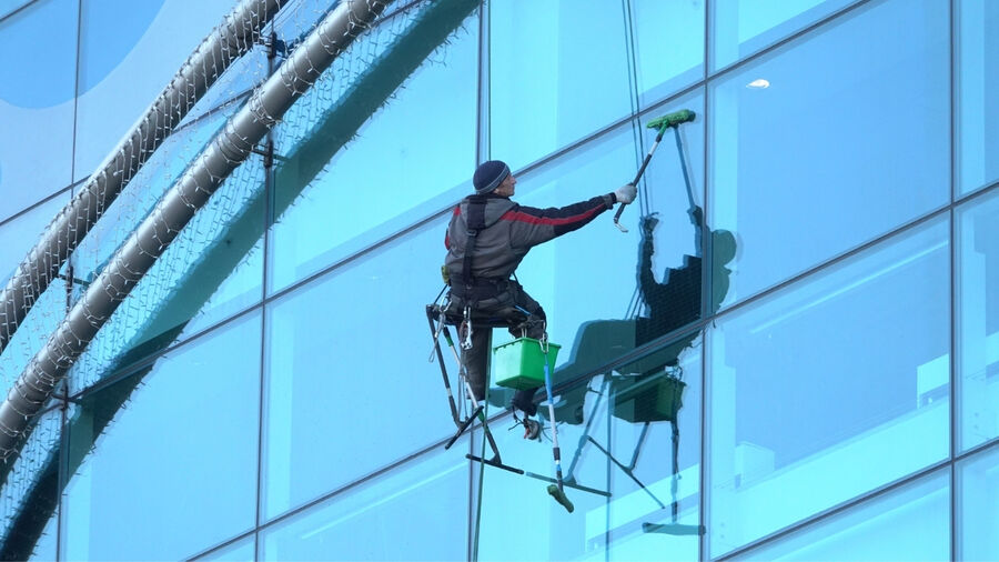 Professional Cleaning detail