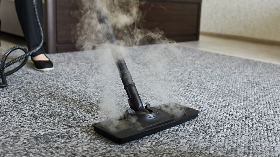 Professional Cleaning detail
